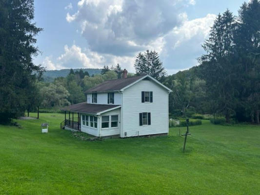 101 SWEDEN HILL RD, ULYSSES, PA 16948 - Image 1