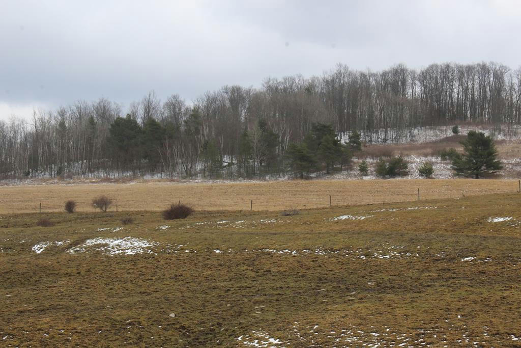 00 STONY FORK ROAD, WELLSBORO, PA 16901, photo 1 of 15