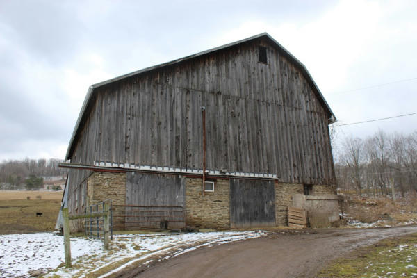 00 STONY FORK ROAD, WELLSBORO, PA 16901, photo 2 of 15