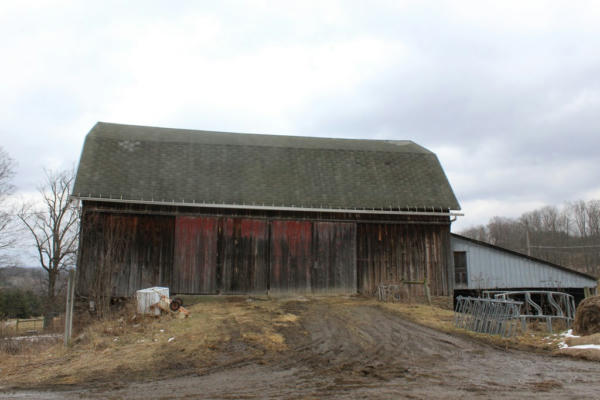 00 STONY FORK ROAD, WELLSBORO, PA 16901, photo 4 of 15