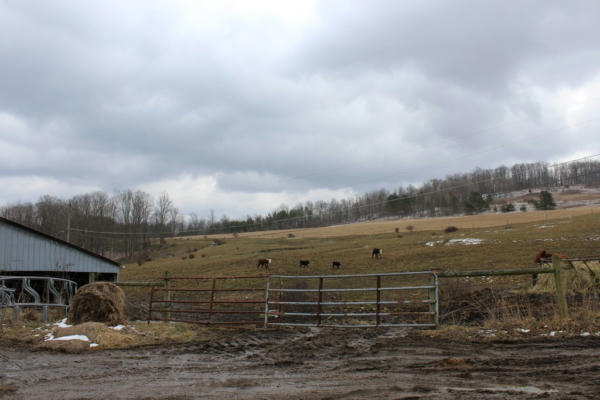 00 STONY FORK ROAD, WELLSBORO, PA 16901, photo 5 of 15