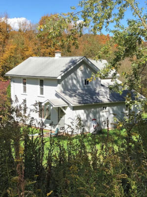 156 CHESOCK RD, DUSHORE, PA 18614 - Image 1
