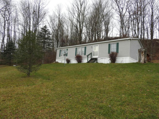 3 E DELMAR MDWS, WELLSBORO, PA 16901 - Image 1