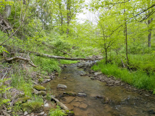 LOT A BUCKWHEAT HOLLOW ROAD, LAWRENCEVILLE, PA 16929, photo 2 of 15